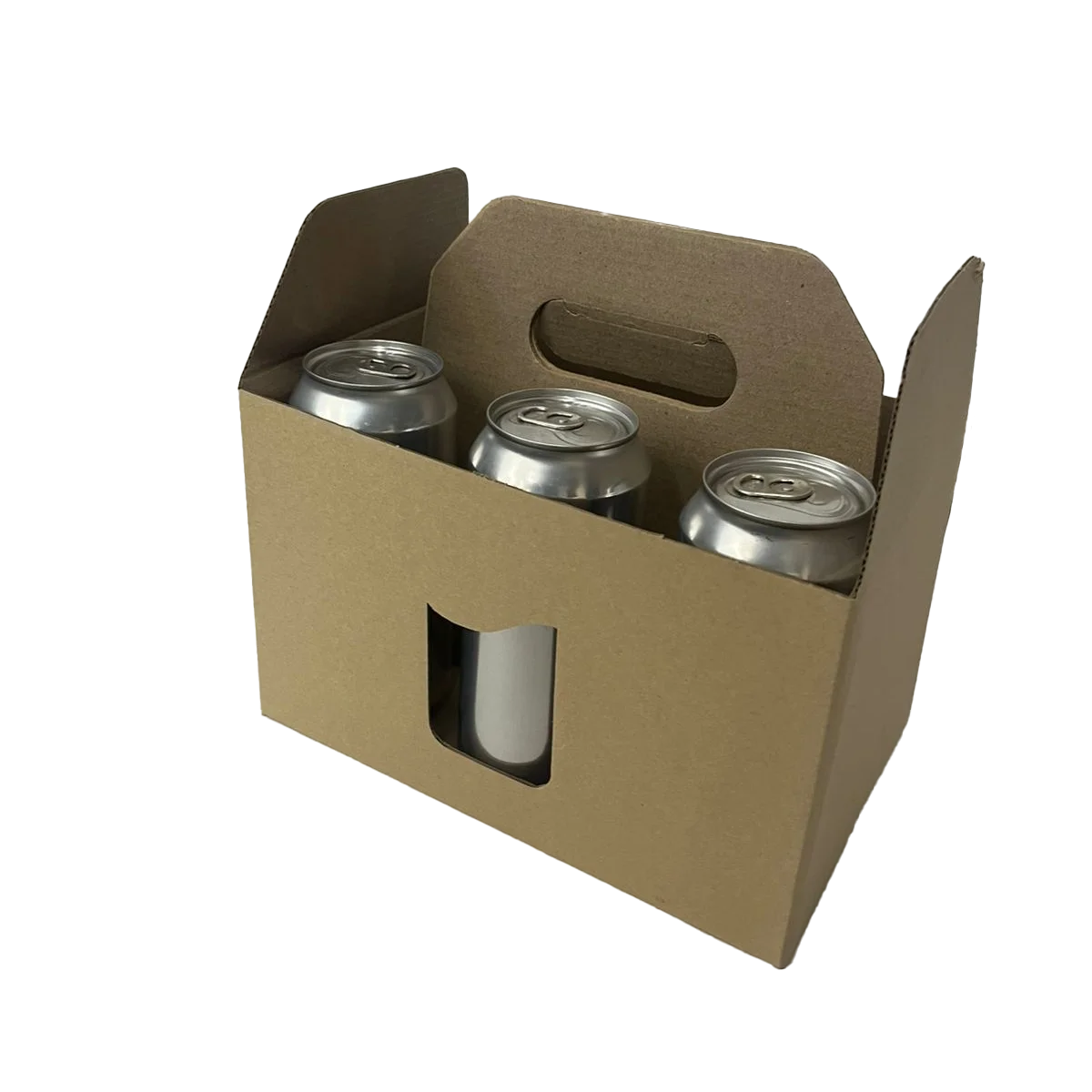 Valija p/ 6 cervezas · vista 3