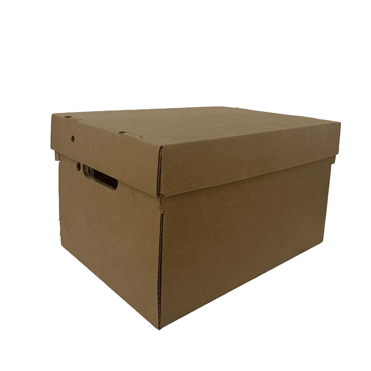 Caja de Archivo · vista 1