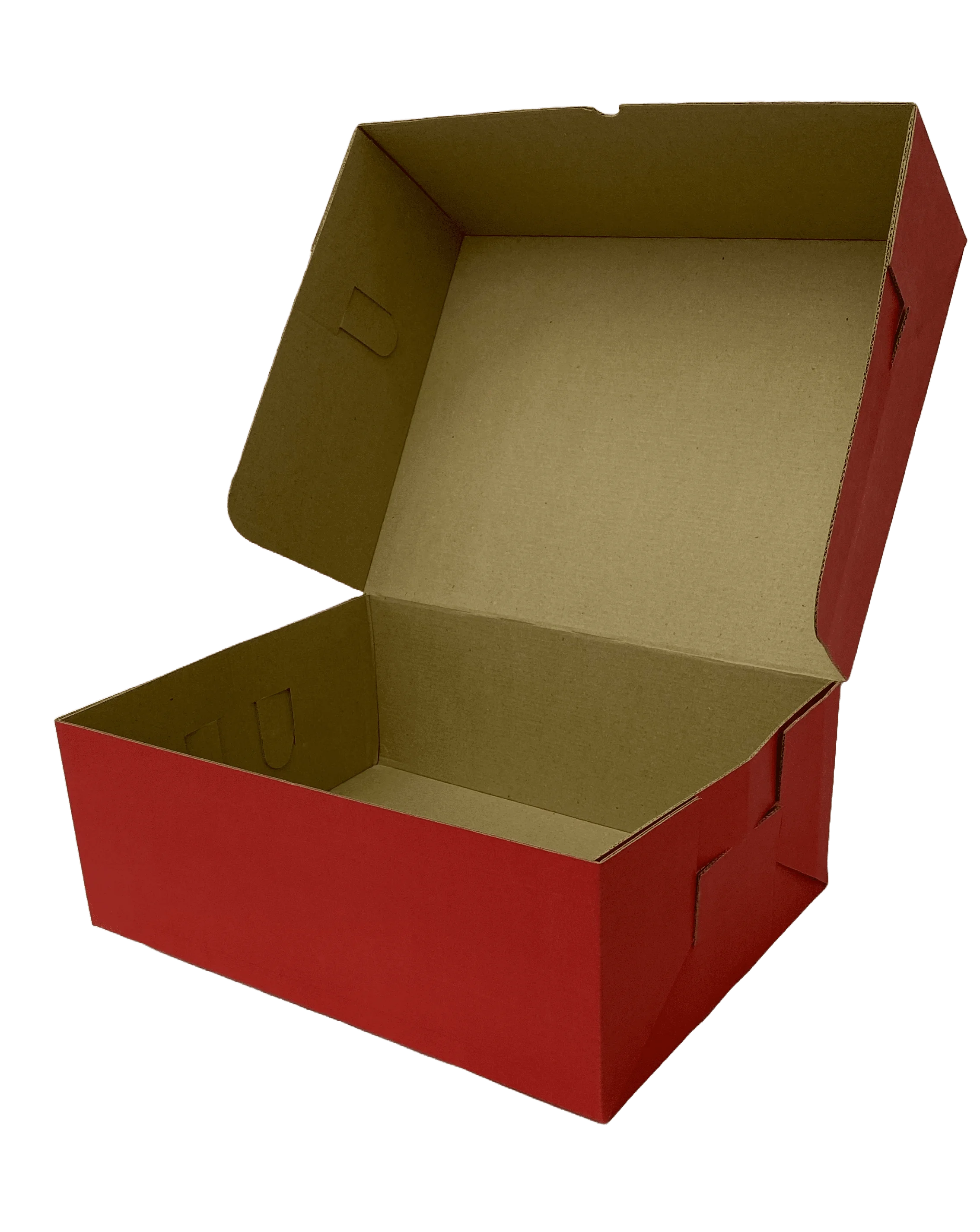 Estuche delivery A · vista 1
